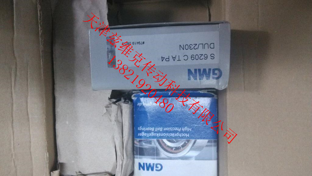 GMN S6012ETAA7DUL轴承