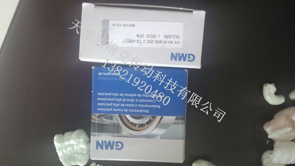 GMN HYKH6005 2RZCTAP4轴承