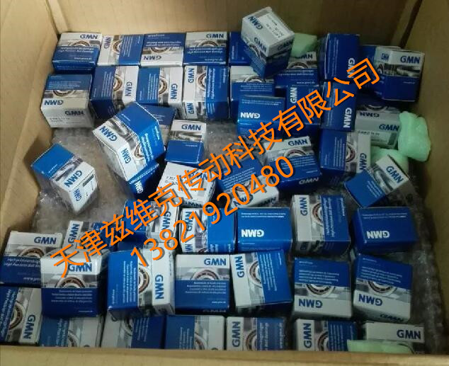 GMN S609CTAP4DUL轴承